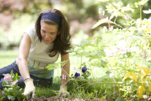 16338-a-woman-enjoying-gardening-outdoors-pv