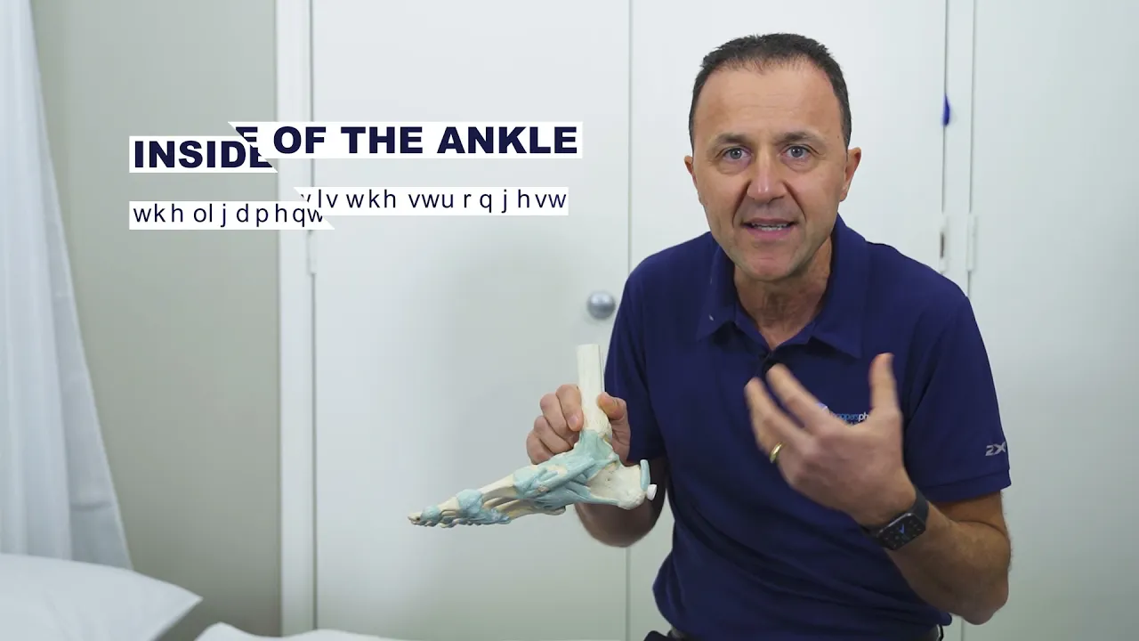 Inside of the ankle ligament